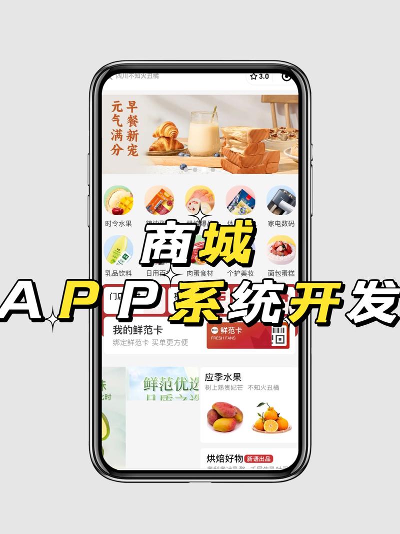 商城系统定制：为您的商业插上腾飞翅膀